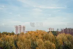 普里皮亚季古城的鸟瞰图。很多空的混凝土地板上长满了树。切尔诺贝利核电站事故发生33年后，普里皮亚季上