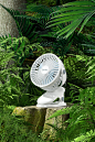 0149bd6243ea050002c4212c26bda1.png (1600×2400)