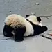 蒜薹炒虾