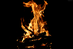 一颗肉丸采集到火、光效素材