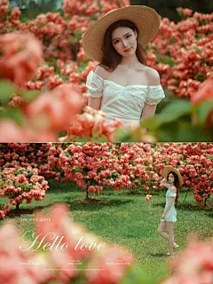 版纳|中科院植物园，电影海报般的梦幻机位