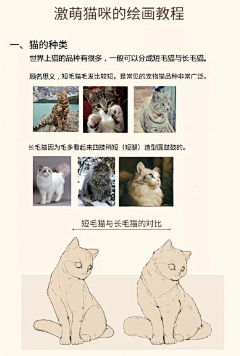 冰罹一翼采集到插画-猫