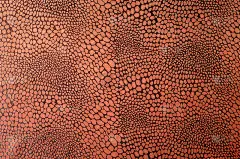 质地丝布。棕色花纹