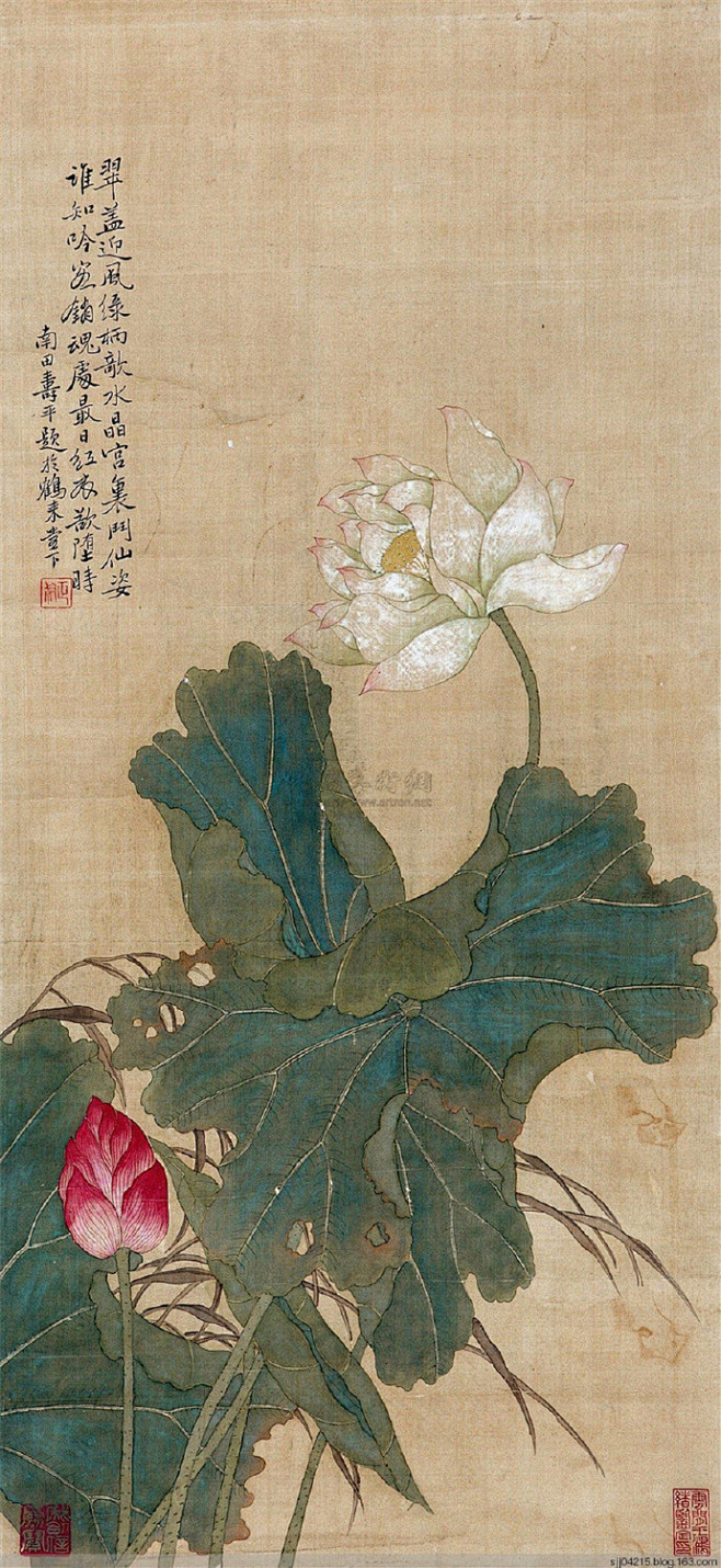 [转载]【国画】清代.恽寿平花卉集锦（1...