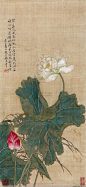 [转载]【国画】清代.恽寿平花卉集锦（1）