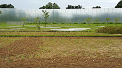 茉莉venom采集到Landscape ︱公园广场景观