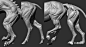 学CG,必看的zbrush动物解剖！！ : 学CG,必看的zbrush动物解剖！！