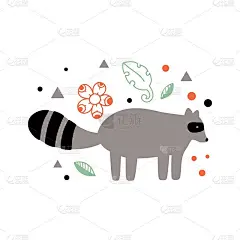 浣熊插图