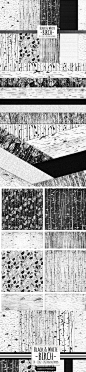 黑白桦木纹理背景素材 Birch Black & White Wood Background  