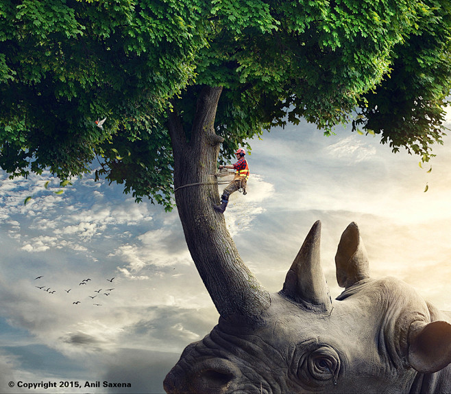 "SAVE TREES SAVE ANI...