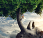 SAVE TREE SAVE ANIMAL : Save Tree- Save AnimalRetouching Work 