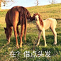 女生发缝宽_百度图片搜索