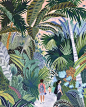 ohkiistudio-illustration-04