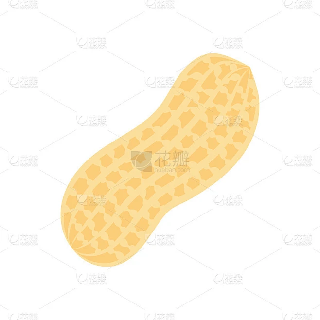Peanut icon. isolated on white background素材-花瓣网