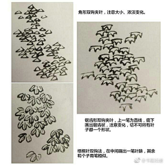 曾与吴王扫落花采集到国画技法