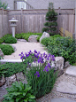 Japanese Garden -- zen: 