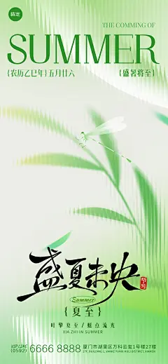 夏至节气肌理渐变树叶蜻蜓海报