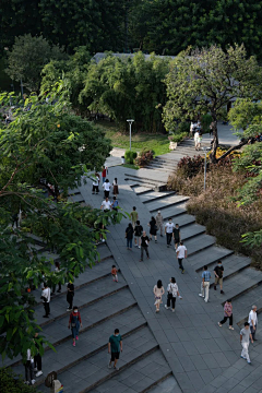 chito采集到台地