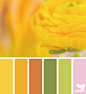 Design Seeds® | find your palette