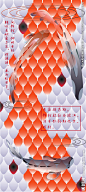 锦鲤