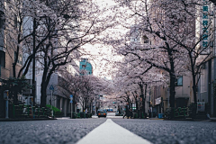 ♀榇忧鍀樾偂♂采集到场景-实景日系