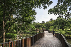 恒叁树伊采集到白马山庄意向图