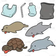 塑胶,水栖哺乳动物,水下,垃圾,愉悦,环境,循环利用,自然,野生动物