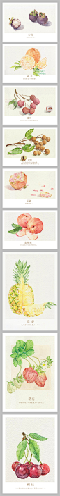 王小明 原创 手绘 水彩 明信片 水果系列9张-淘宝网
