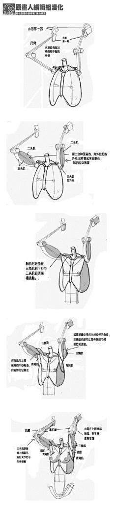 玩火尿炕采集到§R教学 —— 人体综合杂项