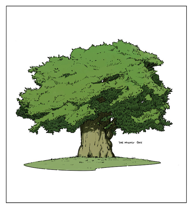 nicholas-peacock-oak...