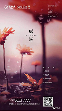 不二情书666采集到二十四节气--处暑