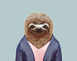 Brown-throated-Sloth---Bradypus-Variegatus-copia