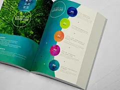棱镜品牌设计作品集 | 视觉系_作品集_平面_原创设计 第一设计网 - 红动中国-Redocn - 全球人气最旺的设计论坛！