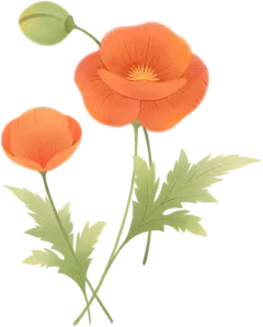 绿色红色植物鲜花插画二十四节气手绘叶子花卉彩色图片