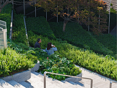 和2008采集到03Terrace 叠级花基花池规则式