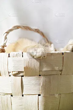 可爱的小宠物，小猫或小狗，躲在柳条篮子里伸出爪子。近距离观看，复制空间。复活节快乐，生日贺卡心意