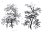 【在下只是资源多】树与自然的绘制教程————————————..._看图_插画吧_百度贴吧