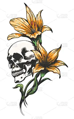 兰花,头骨,白昼,自然,人,怪异,壁纸,花,装饰