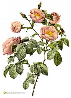 静偶吧密达采集到插画