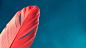 feathers  / 1920x1080 Wallpaper