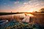 Photograph Crack of Dawn by Allard Schager on 500px  荷兰 风景 风车