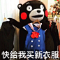 #熊本熊表情包# #熊本熊# #表情包# #熊本熊图片# #熊本熊图库#