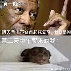 来自分享