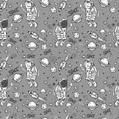 宇航员,猫,四方连续纹样,天体物理学,太空船,技术,动物,行星,飞