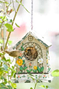 bird house