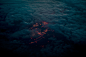 HIBERNATION : The series HIBERNATION is a secluded narrative, that can be seen as a unified flow of images. It explores and investigates subconsciousness, and the sometimes grey boundary between truth and fiction. It is a personal project that is utilizin