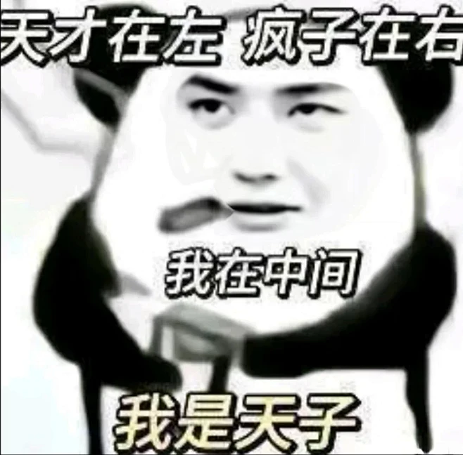 王一博 熊猫头表情包 我是天子 天才在左 疯子在右 我在中间 -花瓣网