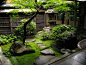 Japanese garden #garden #japan