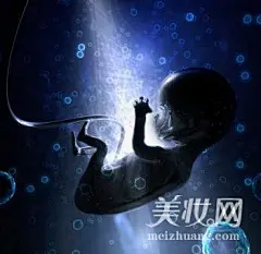 孕妈必知胎儿的形成过程 看生命的奇迹(7)