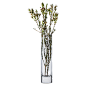 Glass Cylinder Bud Vase Clear 7.5" - Libbey - image 2 of 3